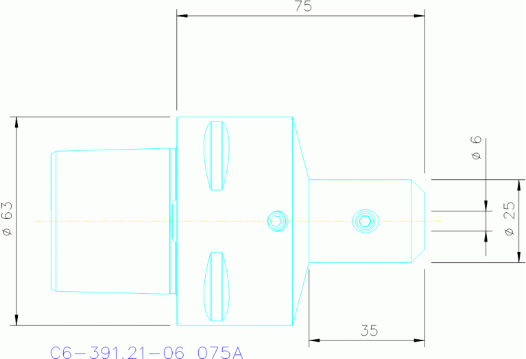 C6-391.21-06 075A