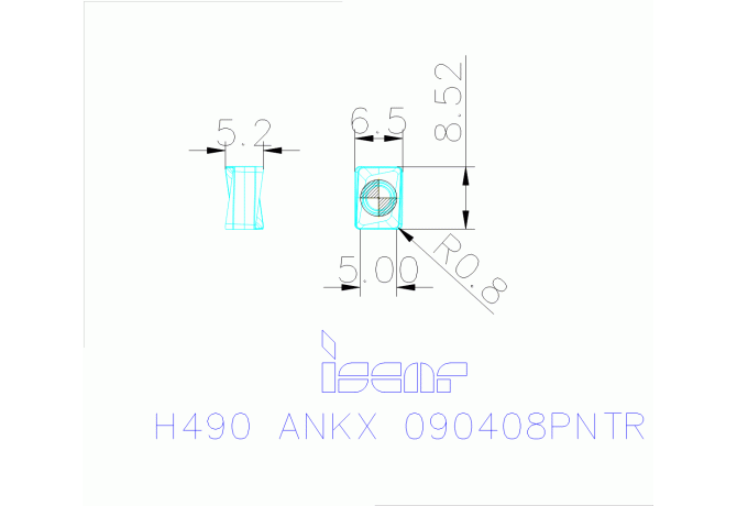 H490 ANKX 090408PNTR DT7150