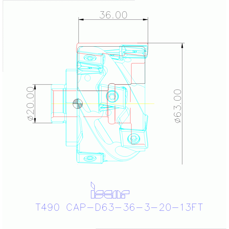 T490 CAP-D63-36-3-20-13FT