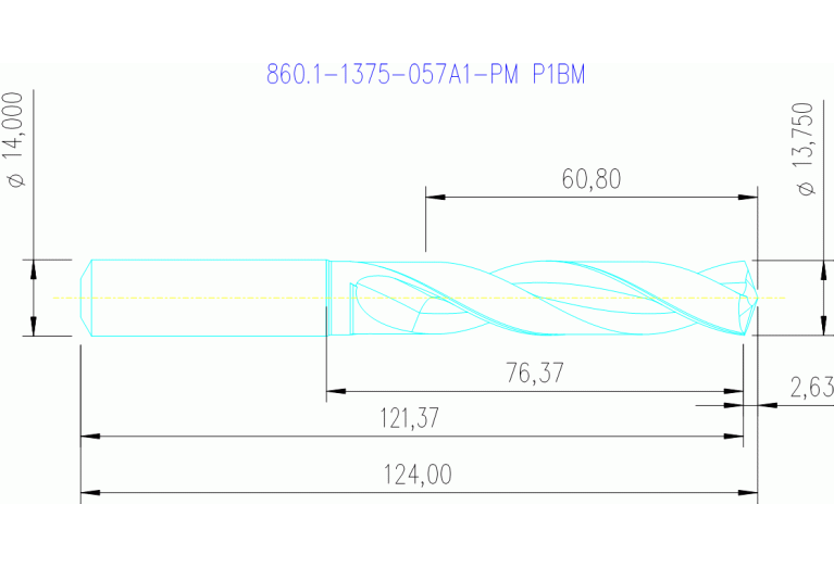 860.1-1375-057A1-PM P1BM