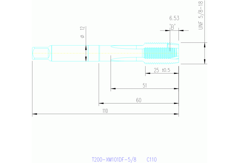 T200-XM101DF-5/8 C110