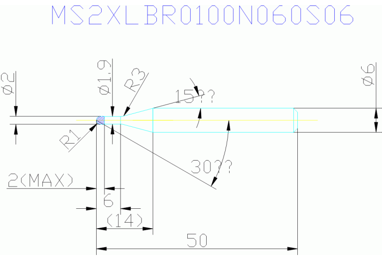 MS2XLBR0100N060S06