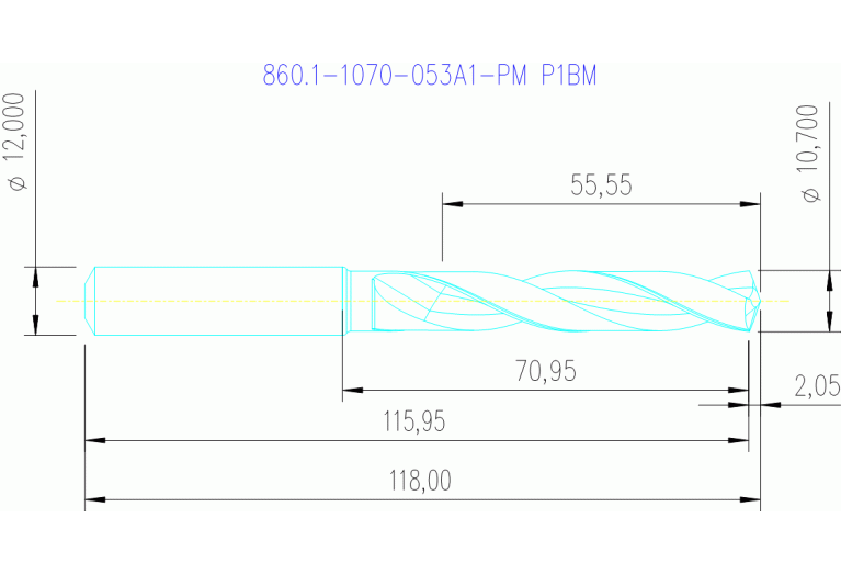 860.1-1070-053A1-PM P1BM