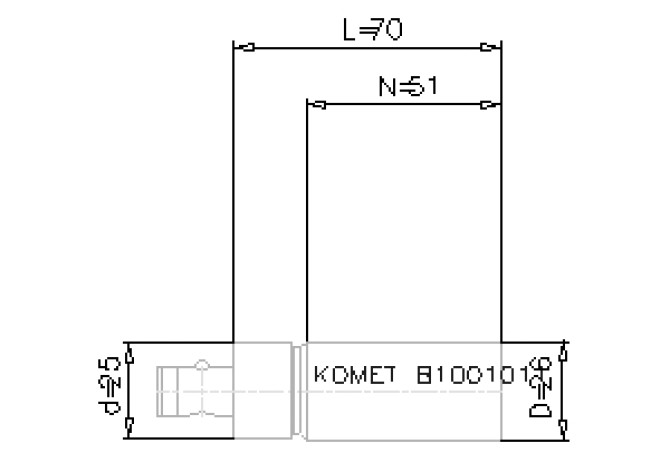 B10 01011