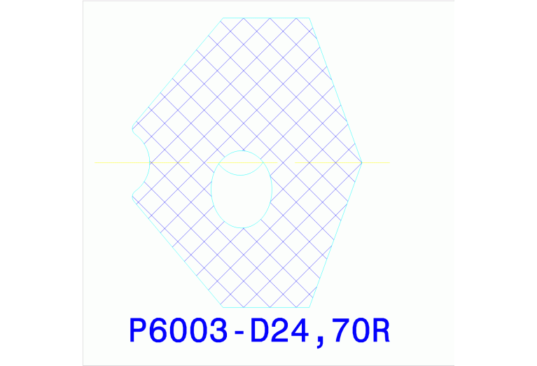 P6002-D24,70R WXK25