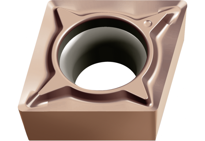 CPGT050204M-FP2 WEP10C