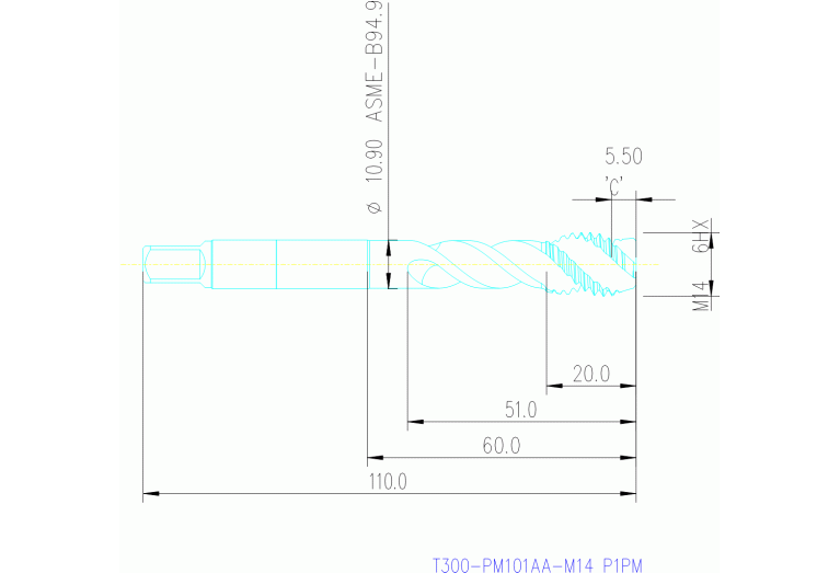 T300-PM101AA-M14 P1PM