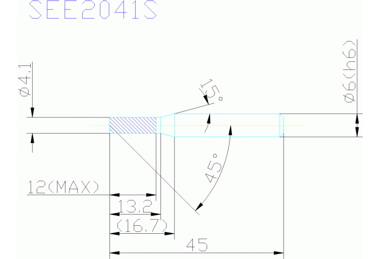 SEE2041S