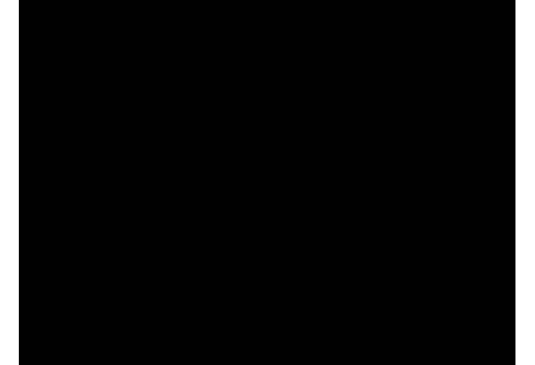 RPHT190600T-6-M13 MS2050
