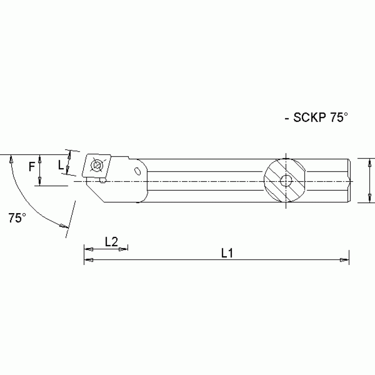 A16RSCKPL09