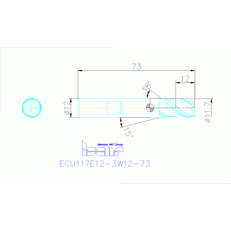 ECU117E12-3W12-73 IC900