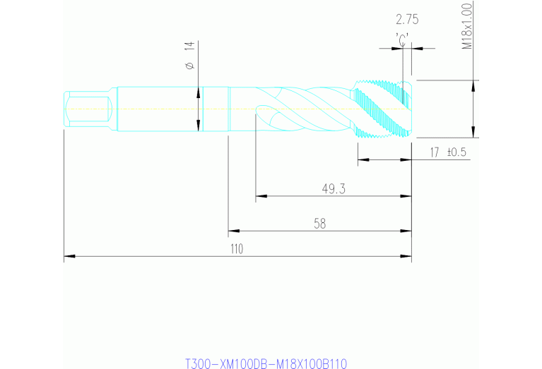 T300-XM100DB-M18X100B145