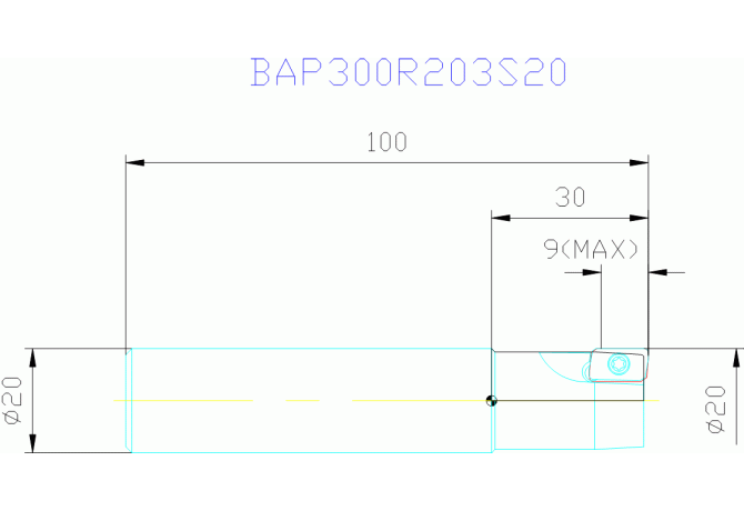BAP300R203S20