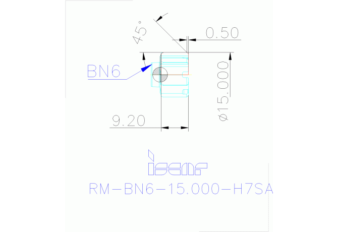 RM-BN6-15.000-H7SA IC08