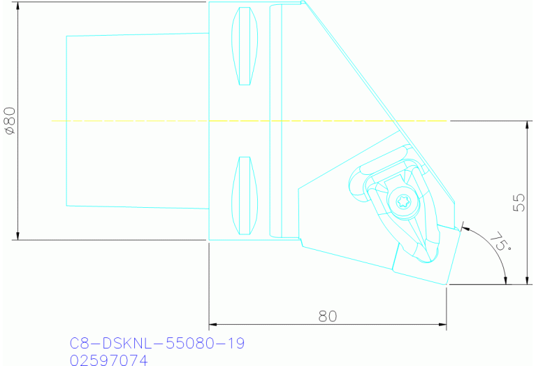 C8-DSKNL-55080-19