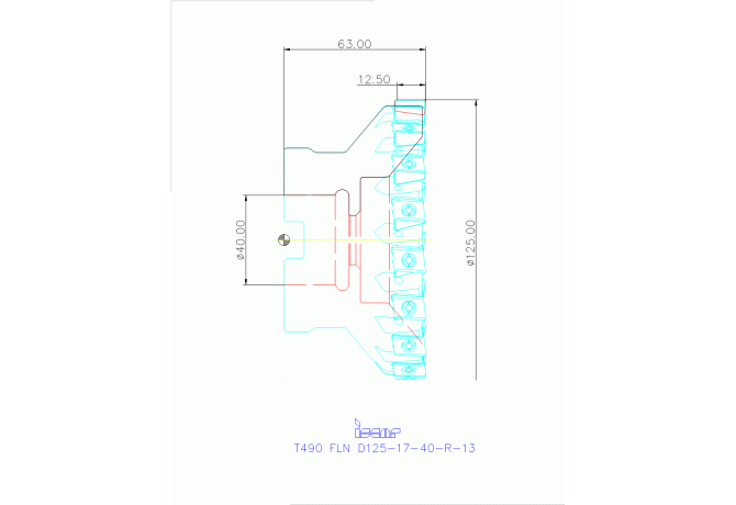 T490 FLN D125-17-40-R-13