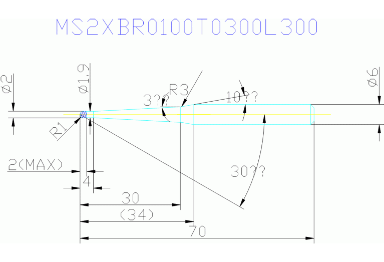 MS2XBR0100T0300L300