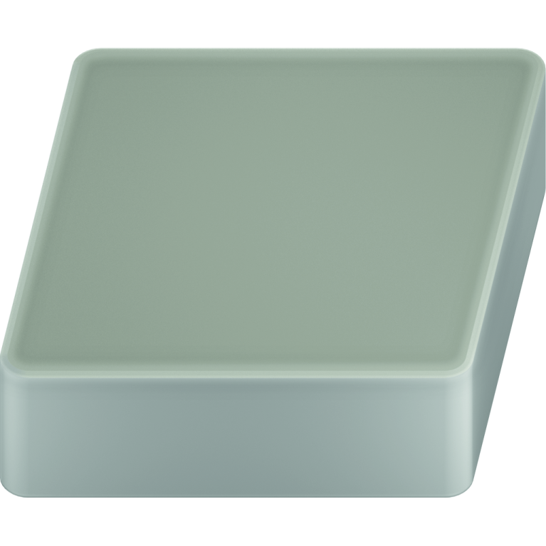 CNGN120416T02020 WCK10