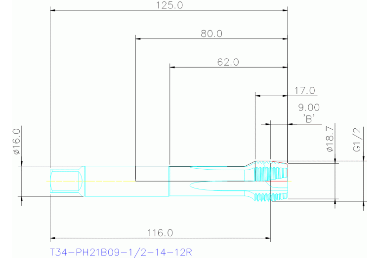 T34-PH21B09-1/2-14-12R