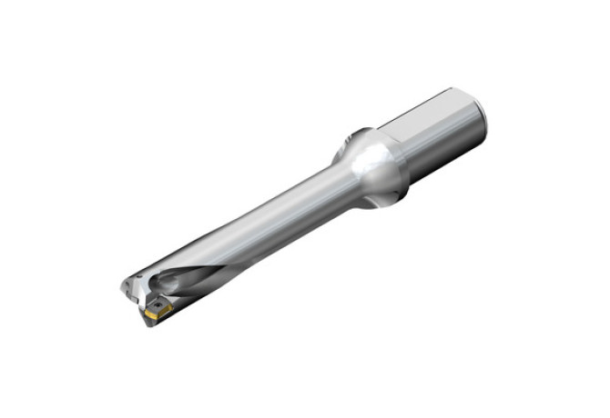 DS20-D4200L50-05
