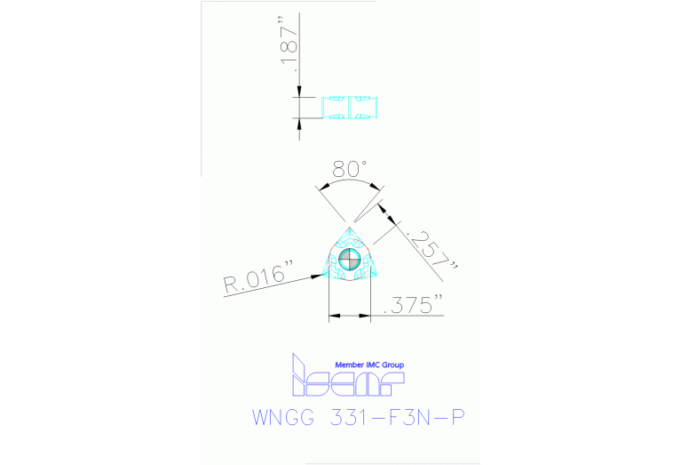 WNGG 060404-F3N-P IC20