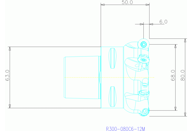R300-080C6-12M