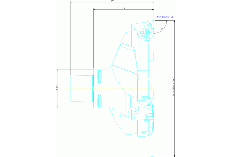 BR30-306CN16F-C8