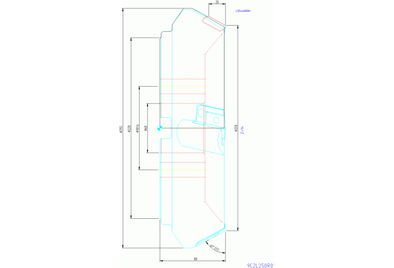 9C2L250R01
