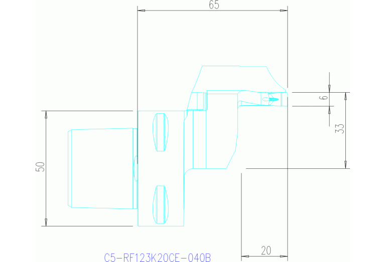 C5-RF123K20CE-040B