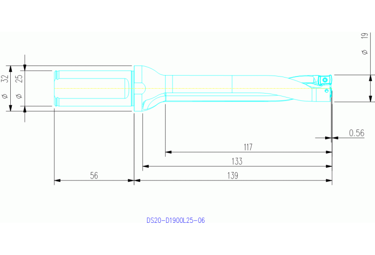 DS20-D1900L25-06