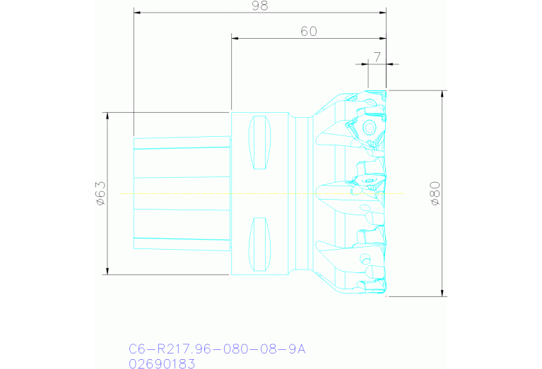 C6-R217.96-080-08-9A