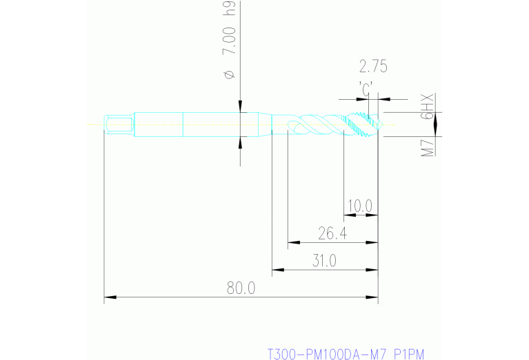 T300-PM100DA-M7 P1PM