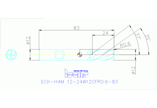 ECK-H4M 12-24W12CFR0.6-83 IC900