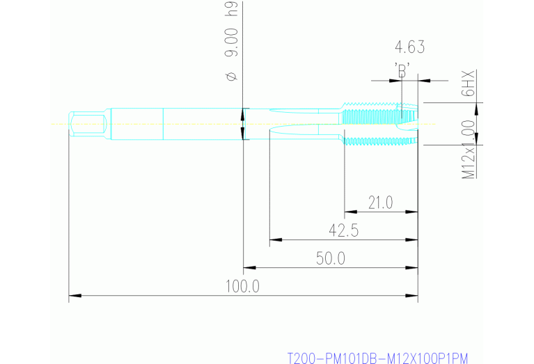 T200-PM101DB-M12X100P1PM