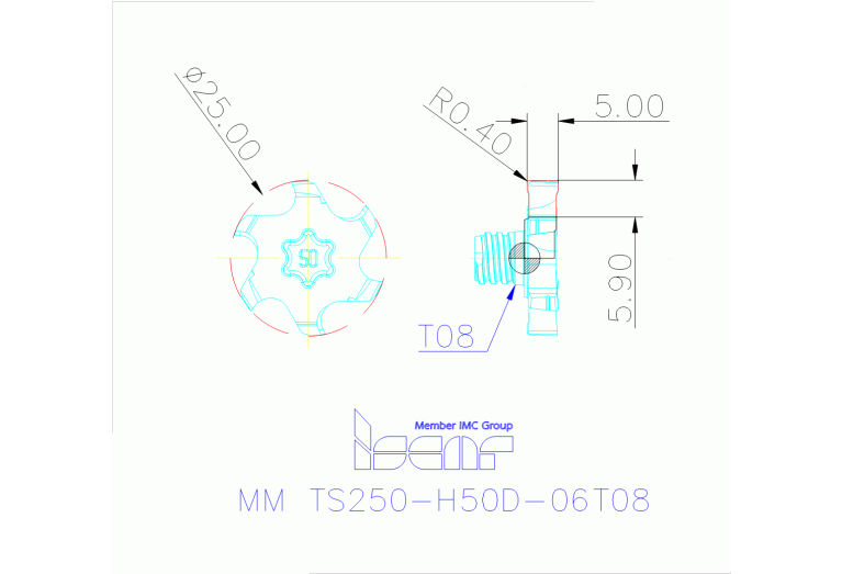 MM TS250-H50D-06T08 IC908