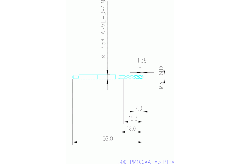 T300-PM100AA-M3 P1PM