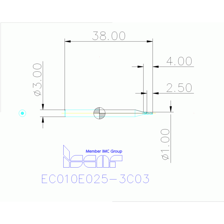 EC010E025-3C03 IC300