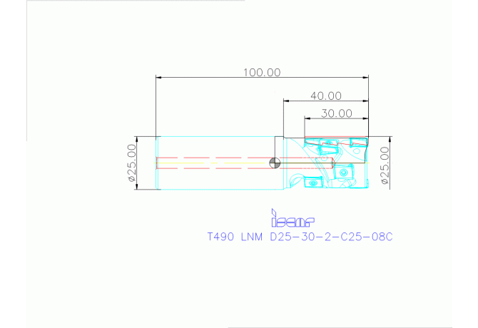 T490 LNM D25-30-2-C25-08C