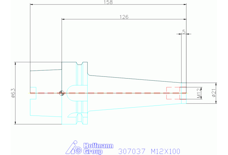 307037 M12X100