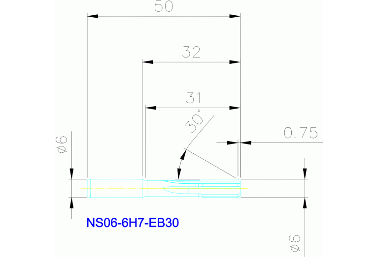 NS06-6H7-EB30 RX2000