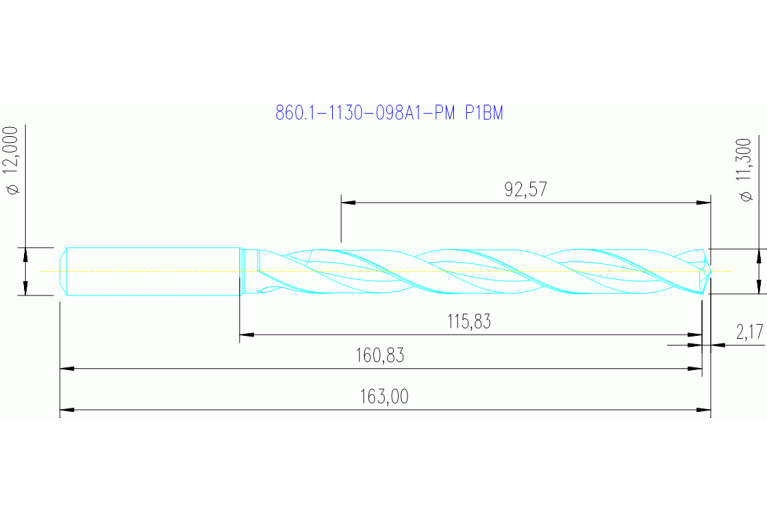 860.1-1130-098A1-PM P1BM