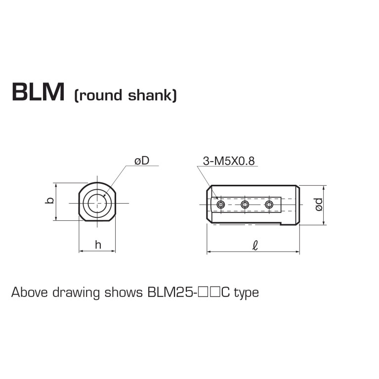 BLM22-08