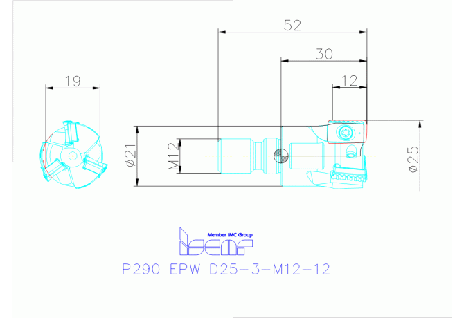 P290 EPW D25-3-M12-12