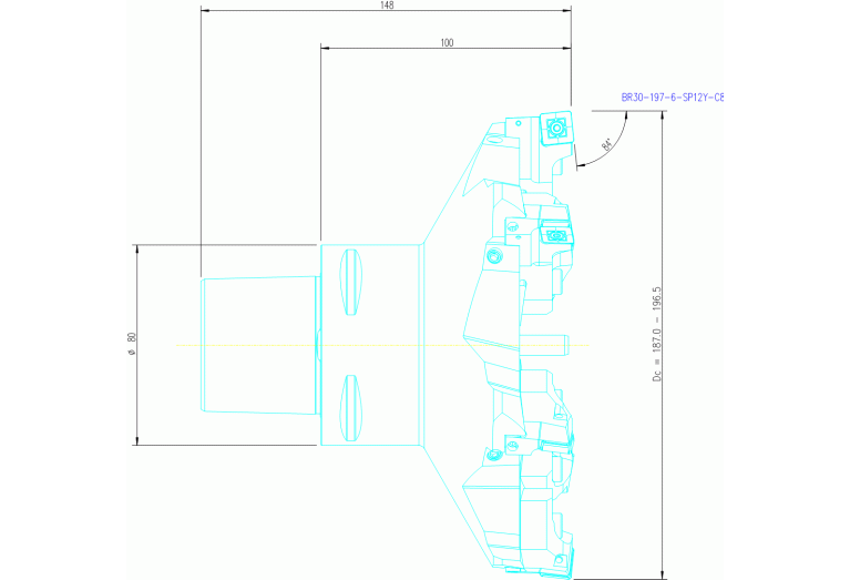 BR30-197-6-SP12Y-C8