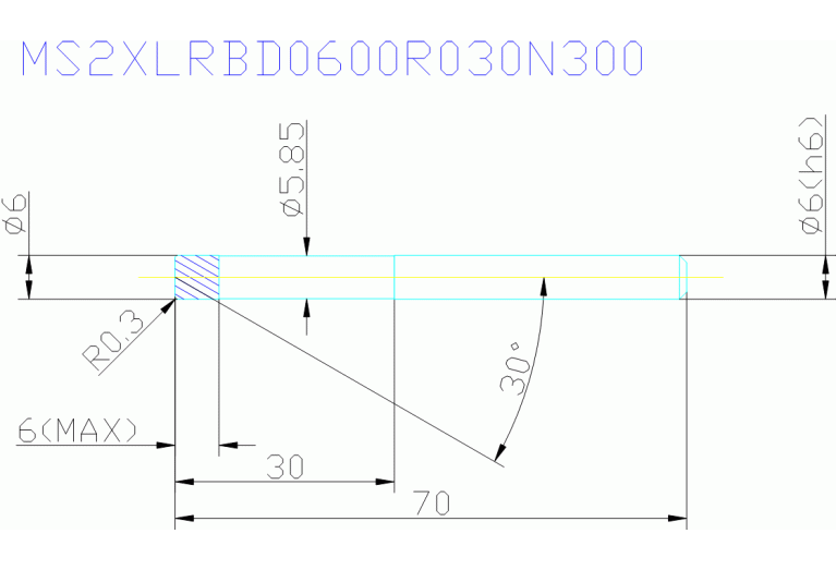 MS2XLRBD0600R030N300