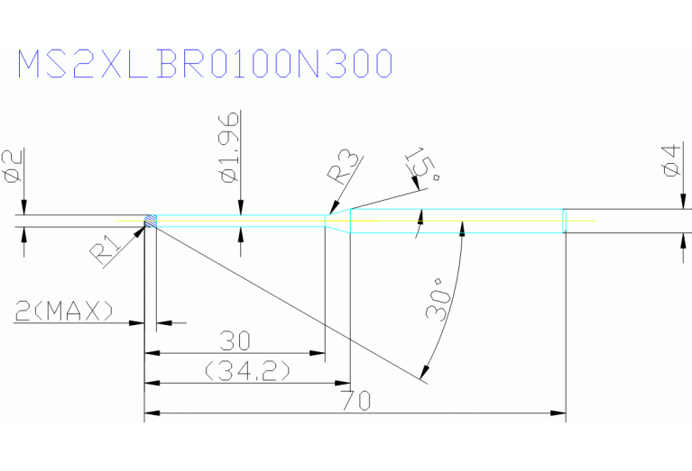 MS2XLBR0100N300
