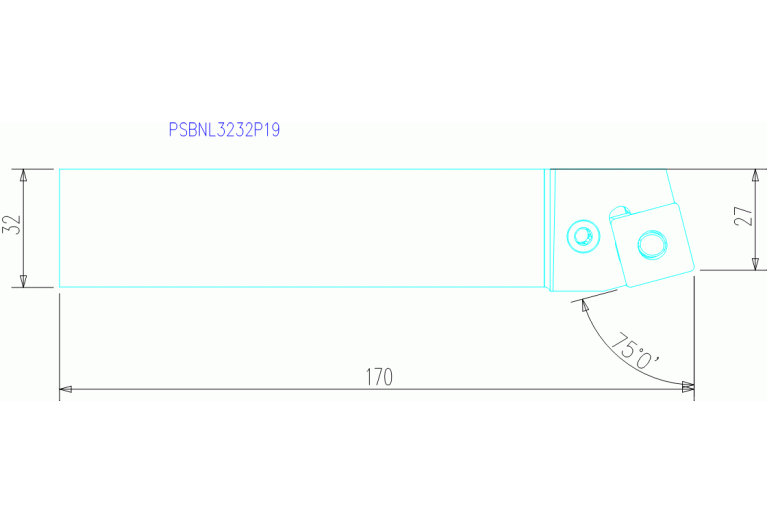 PSBNL3232P19