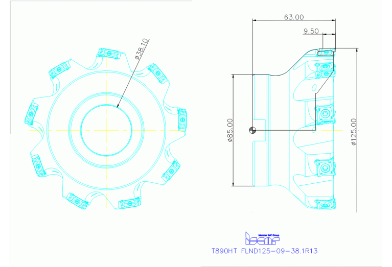 T890HT FLND125-09-38.1R13