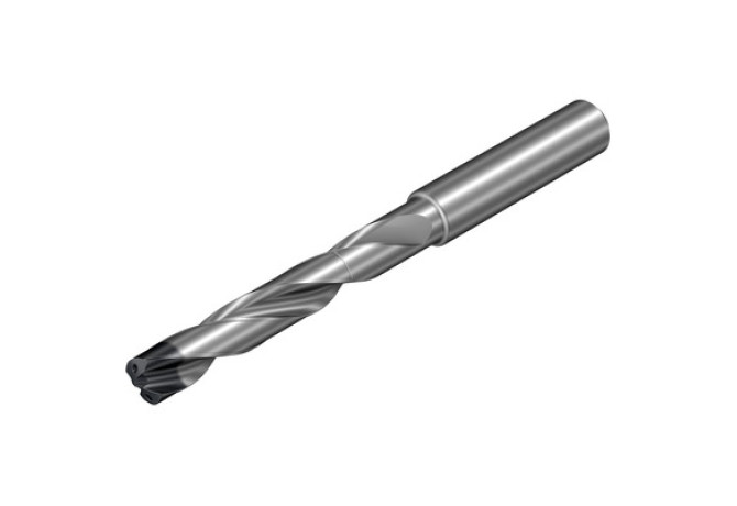 860.1-0318-016A1-SD S2BM