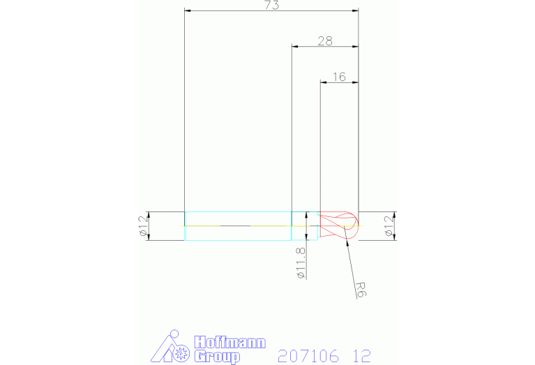 207106 12